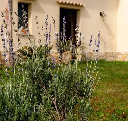 Bed & Breakfast Solesun